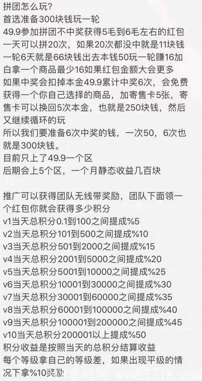 一起来养猪拼团，蜂群联盟公司正波比，今年是拼团元年，拼商的趋势
