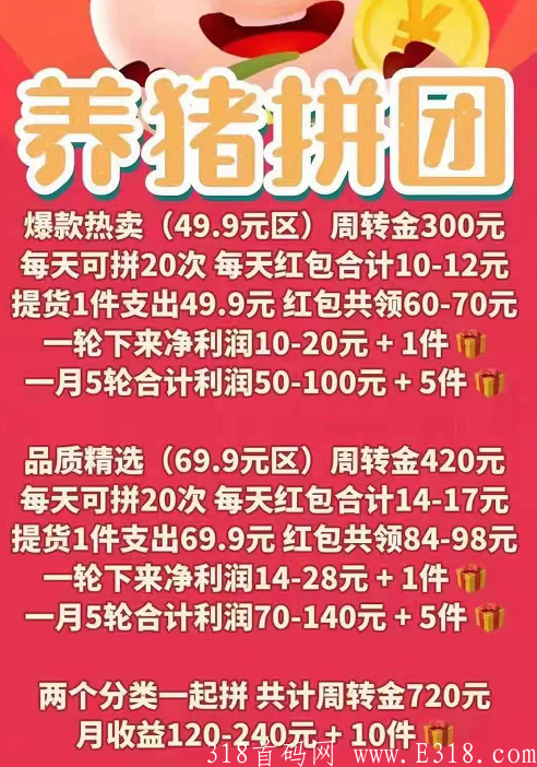 一起来养猪拼团，蜂群联盟公司正波比，今年是拼团元年，拼商的趋势