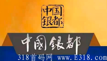 拼团项目，中国银都首码，龙总最高扶持。