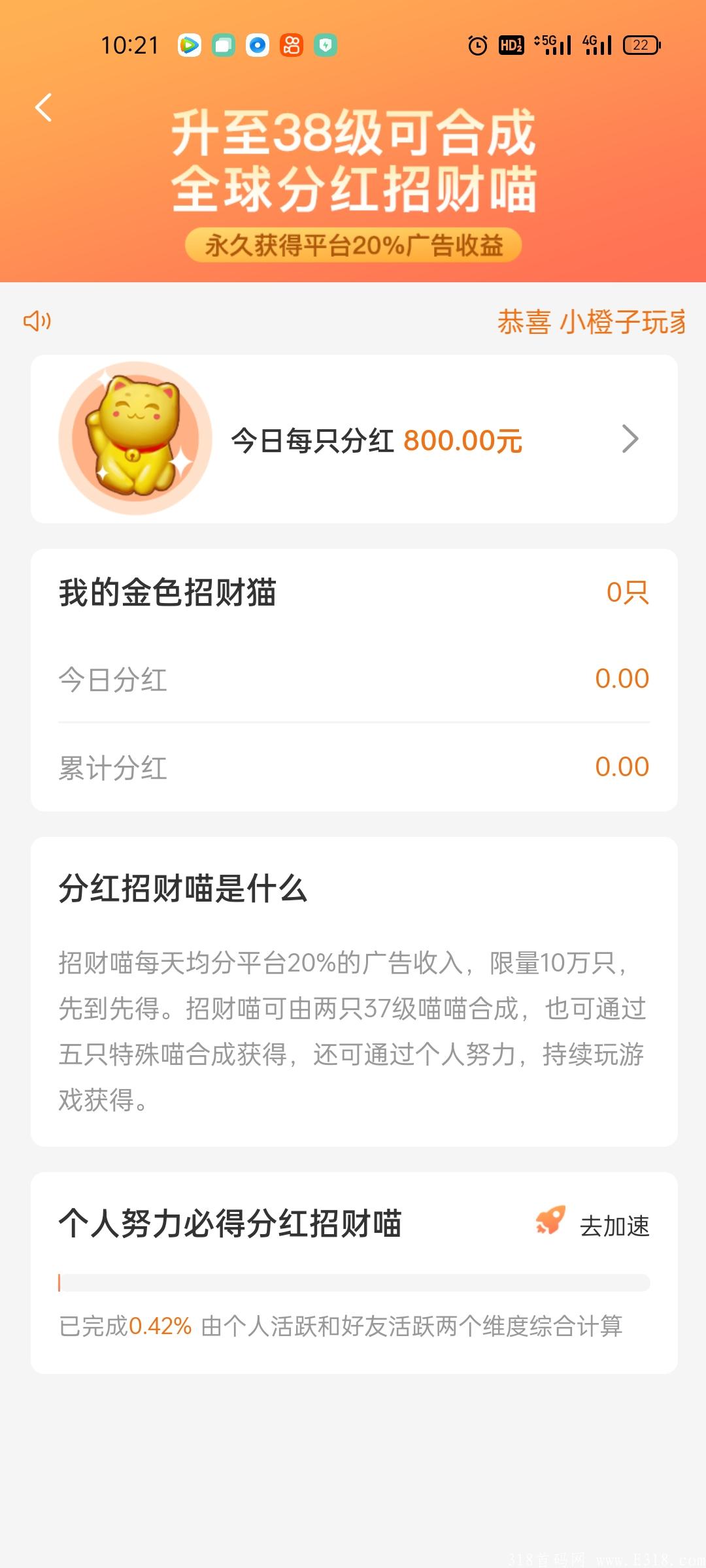 萌猫合成永久分红800每天，先到先得