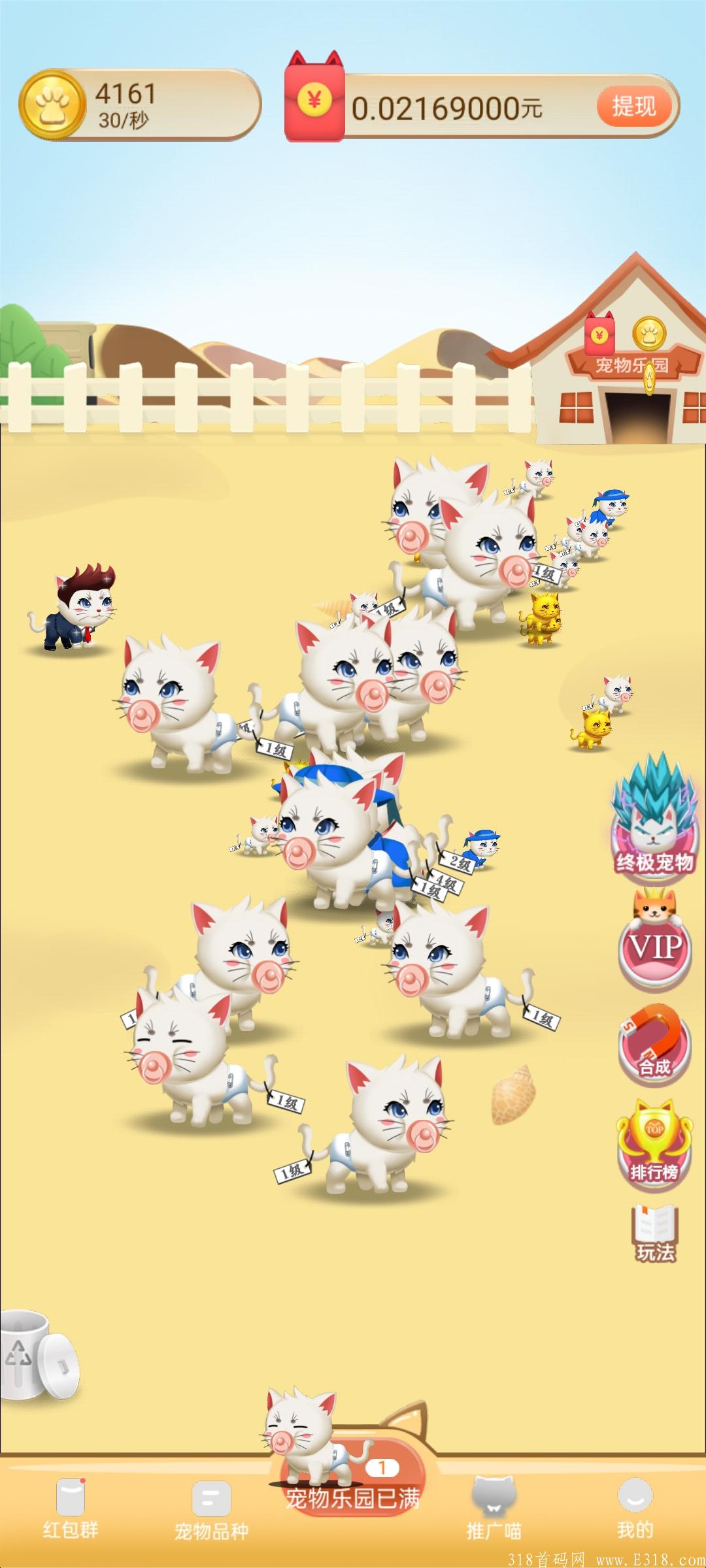 首码刚出一秒，错过了养猪，别再错过养猫，速度上车吃肉！！！