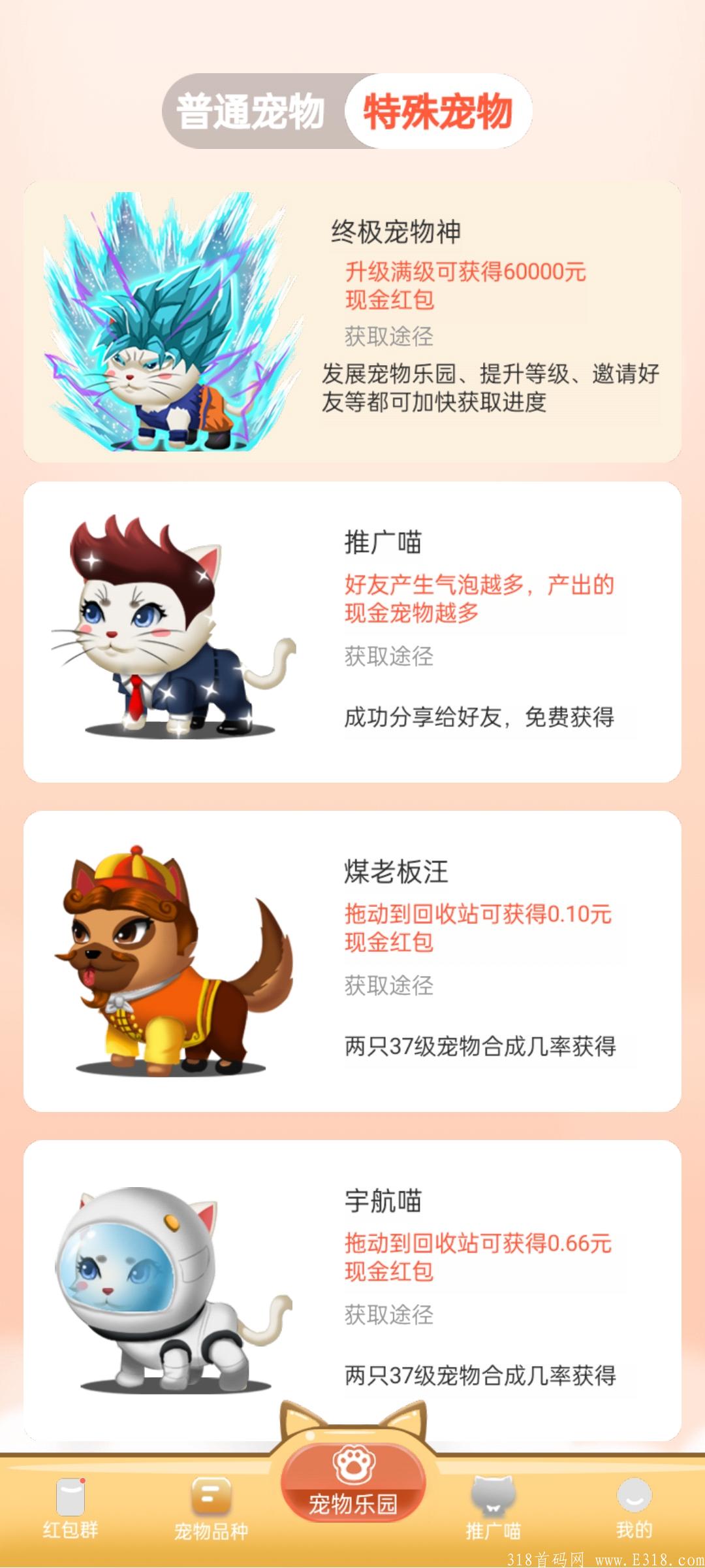 首码刚出一秒，错过了养猪，别再错过养猫，速度上车吃肉！！！