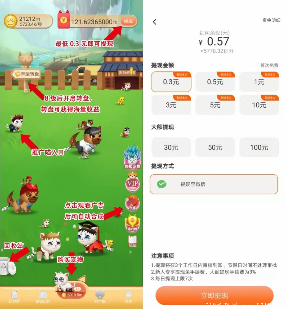 最稳零撸项目（养猫）日撸八十到100