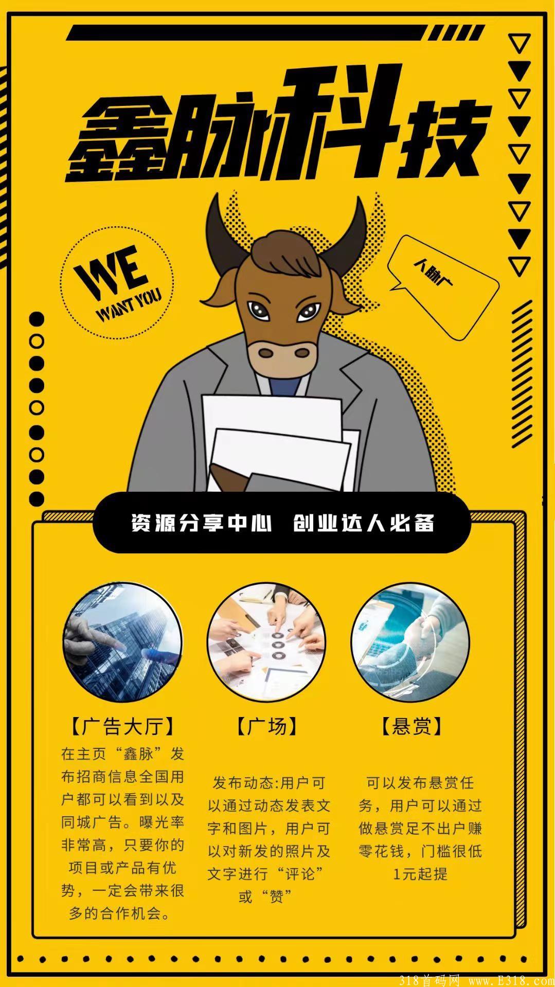 首码刚出一秒，鑫脉广告平台，上线前一个