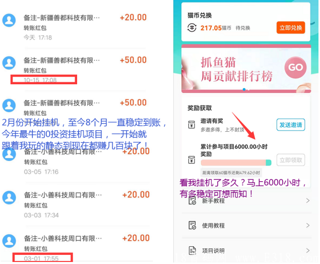 抓鱼猫挂机靠谱吗？稳定超200天限时活动每天收益4-5元操作攻略