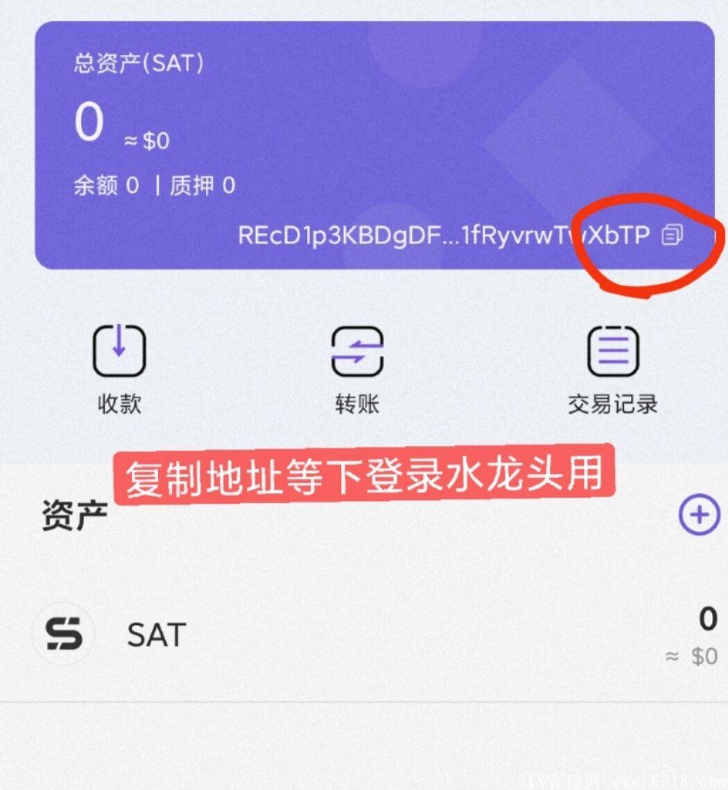 智图公链第二个吃肉项目。