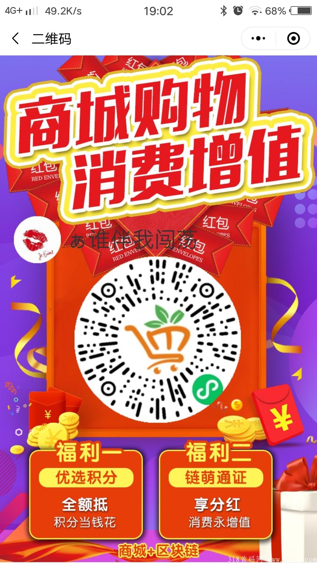首码，暴力分红项目