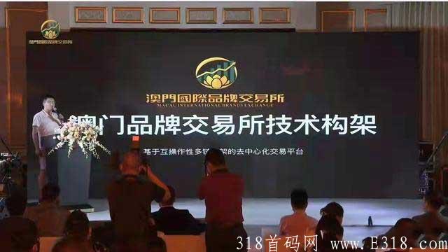 国际品牌交易所蓝海新项目