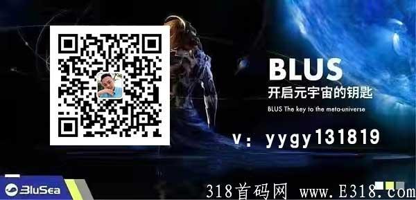 国际品牌交易所蓝海新项目