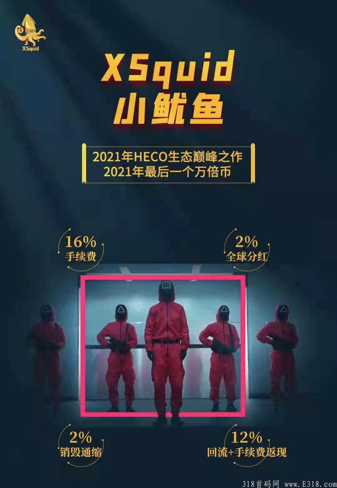 小鱿鱼！抓紧上车错过shib不能错过小鱿鱼
