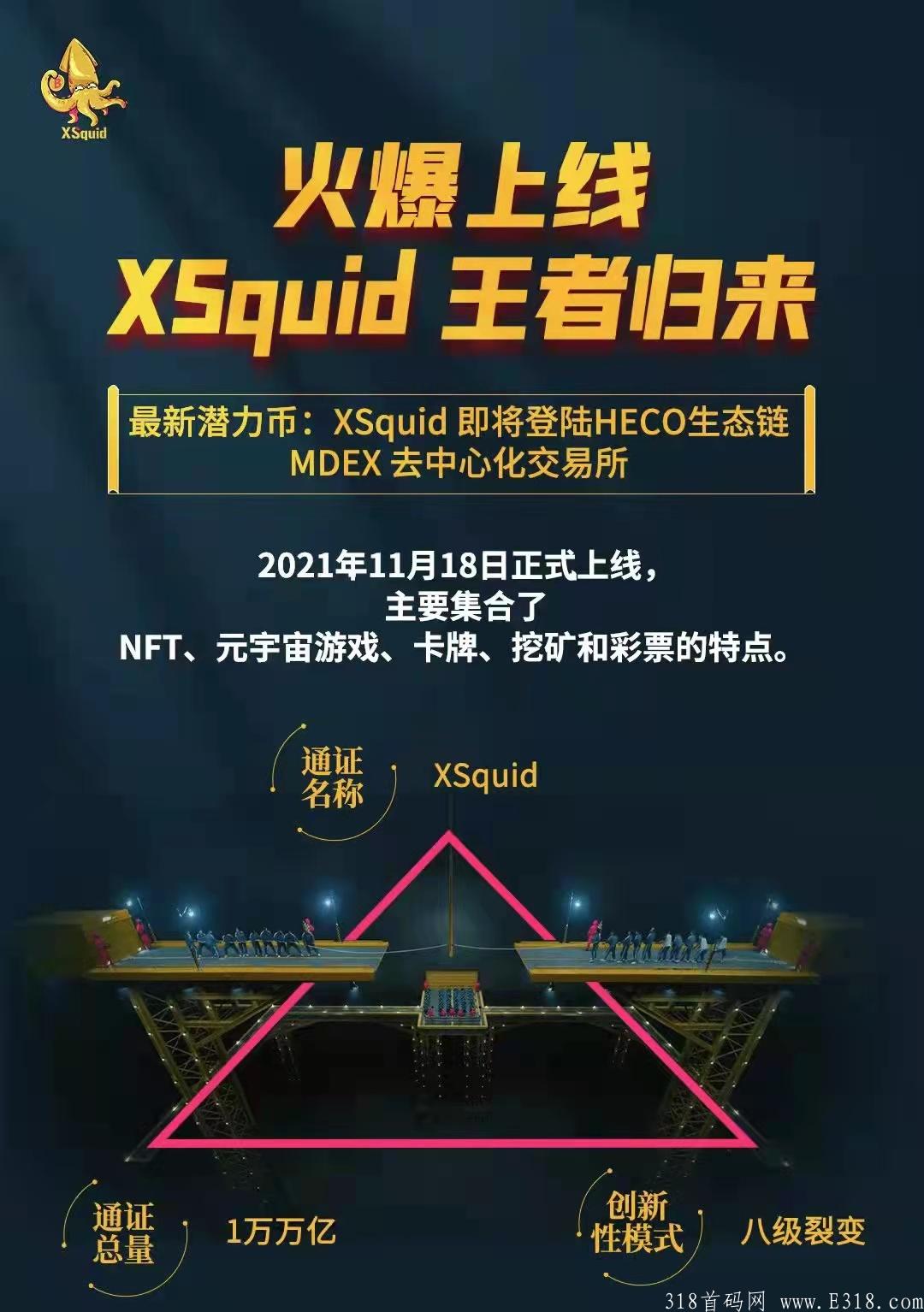 小鱿鱼！抓紧上车错过shib不能错过小鱿鱼