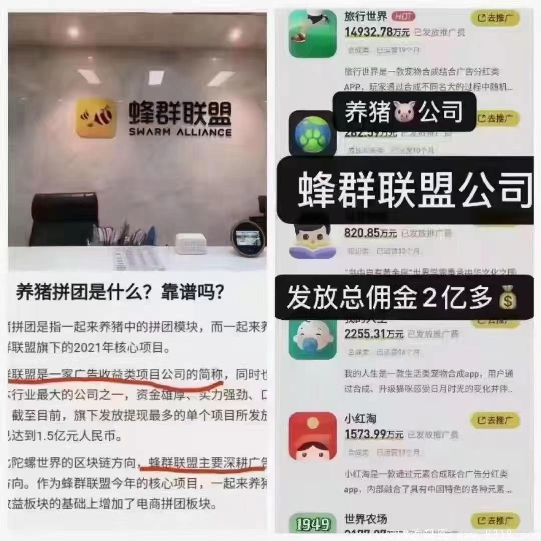 打爆款是什么项目？靠谱吗?