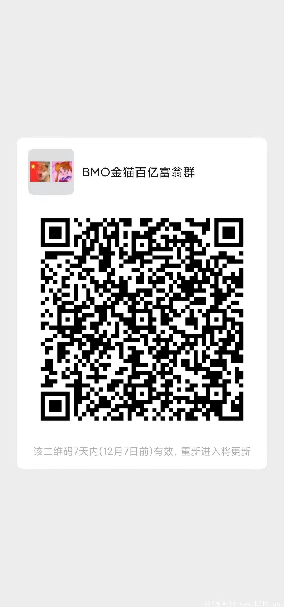 BMO金猫币大中华区，柴妈模式内侧上线啦!!!