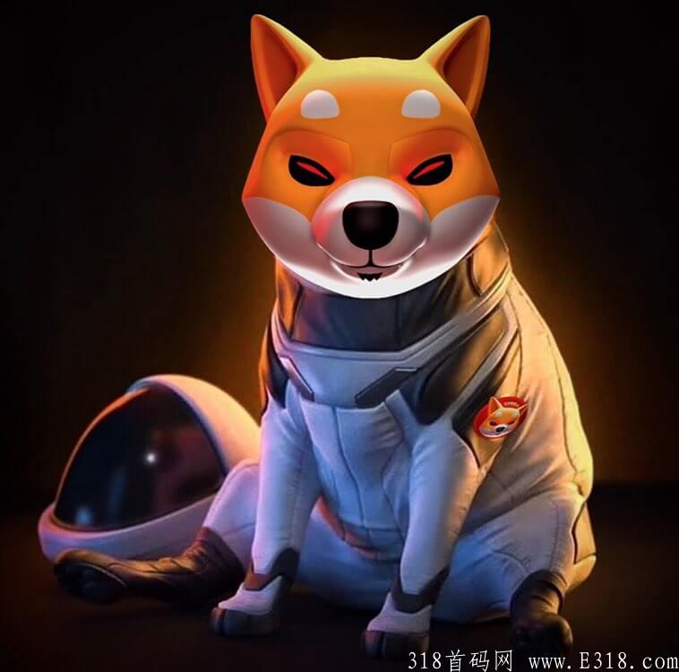 METASHIB元宇宙柴犬官网更换了网址，旧网址打不开了，空投还在继续！
