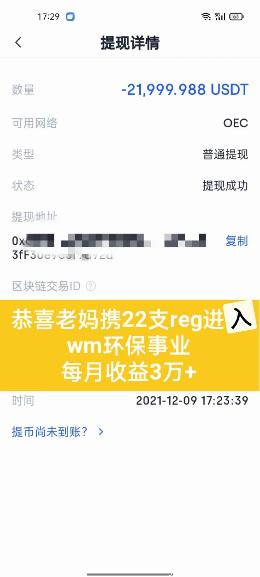 WM环保红利（含12月份会员提现充值）