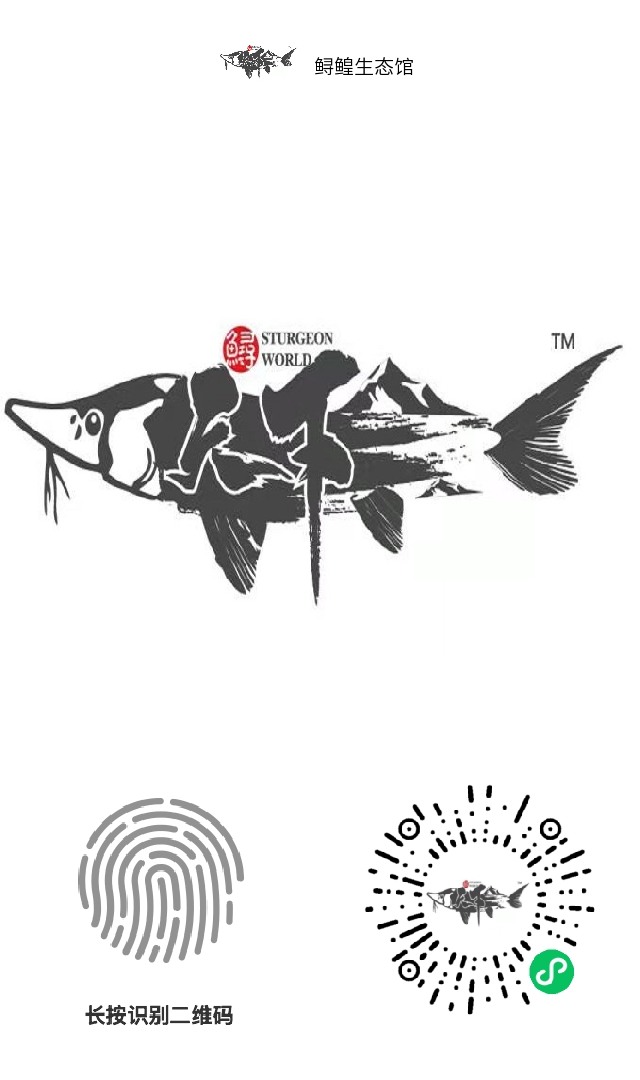 【鲟鳇生态馆】全网首发，超强静态收益！