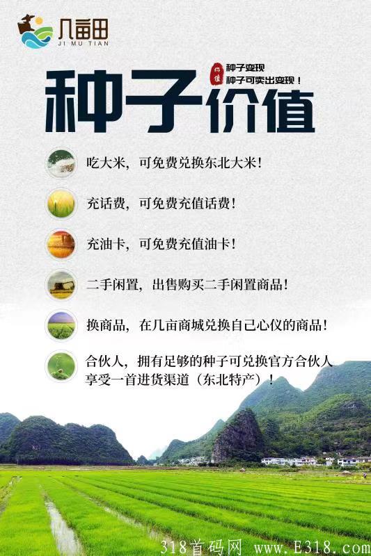 几亩地排线