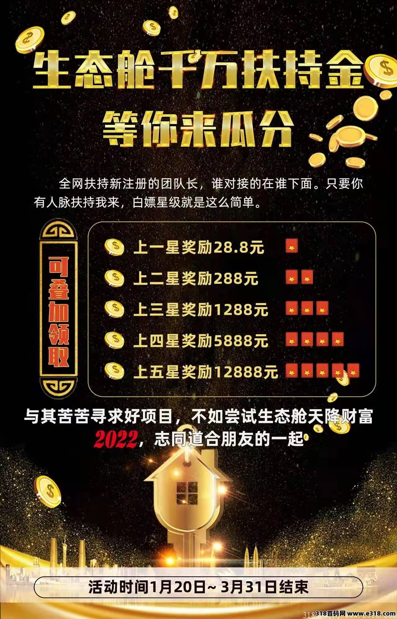 生态舱首码项目，现金扶持，对接团队领导人