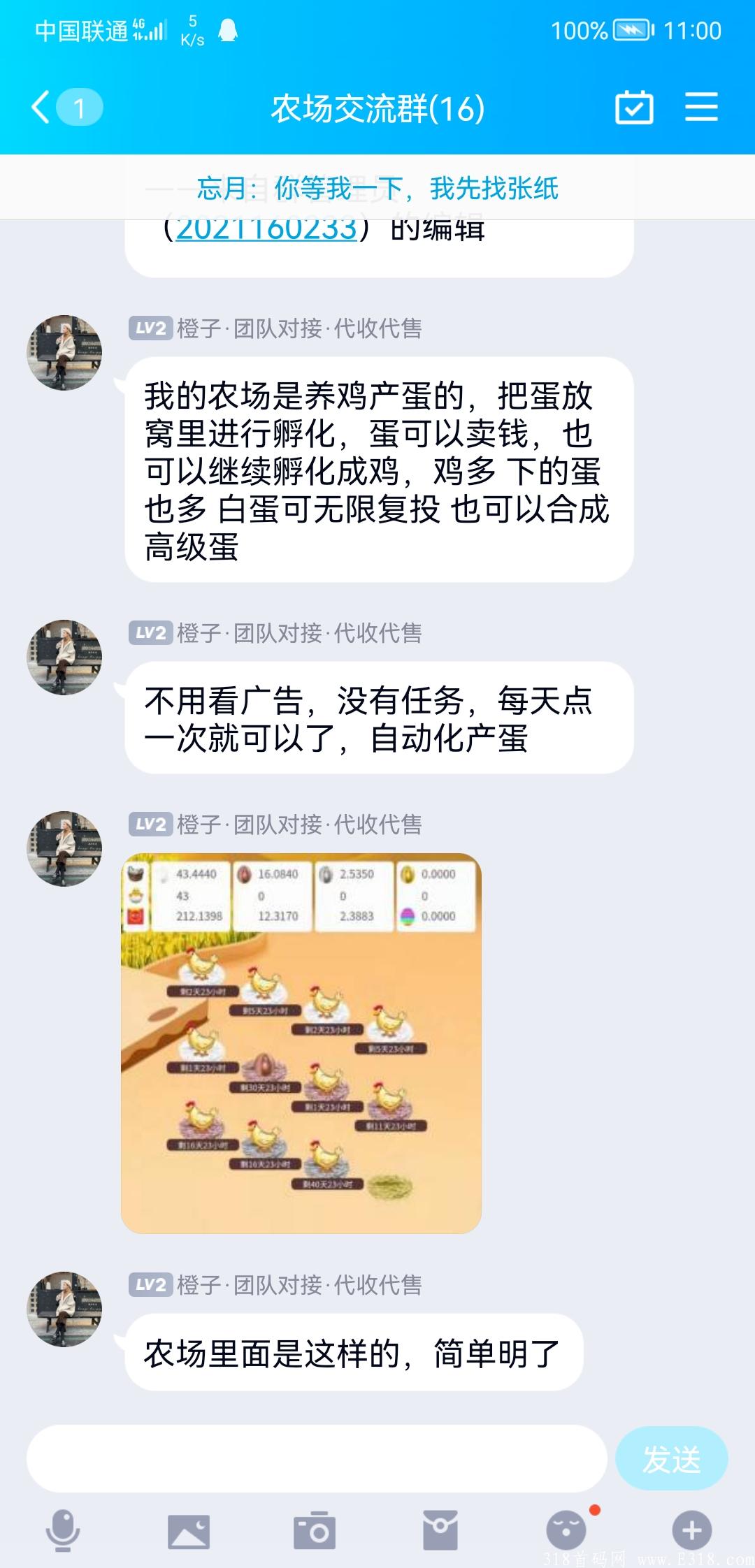 阿尼农场，新投首码