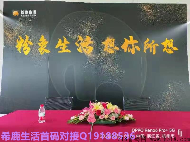 希鹿生活是由粉象打造新项目长期管道收益项目！