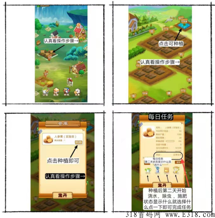 伊甸世纪首码