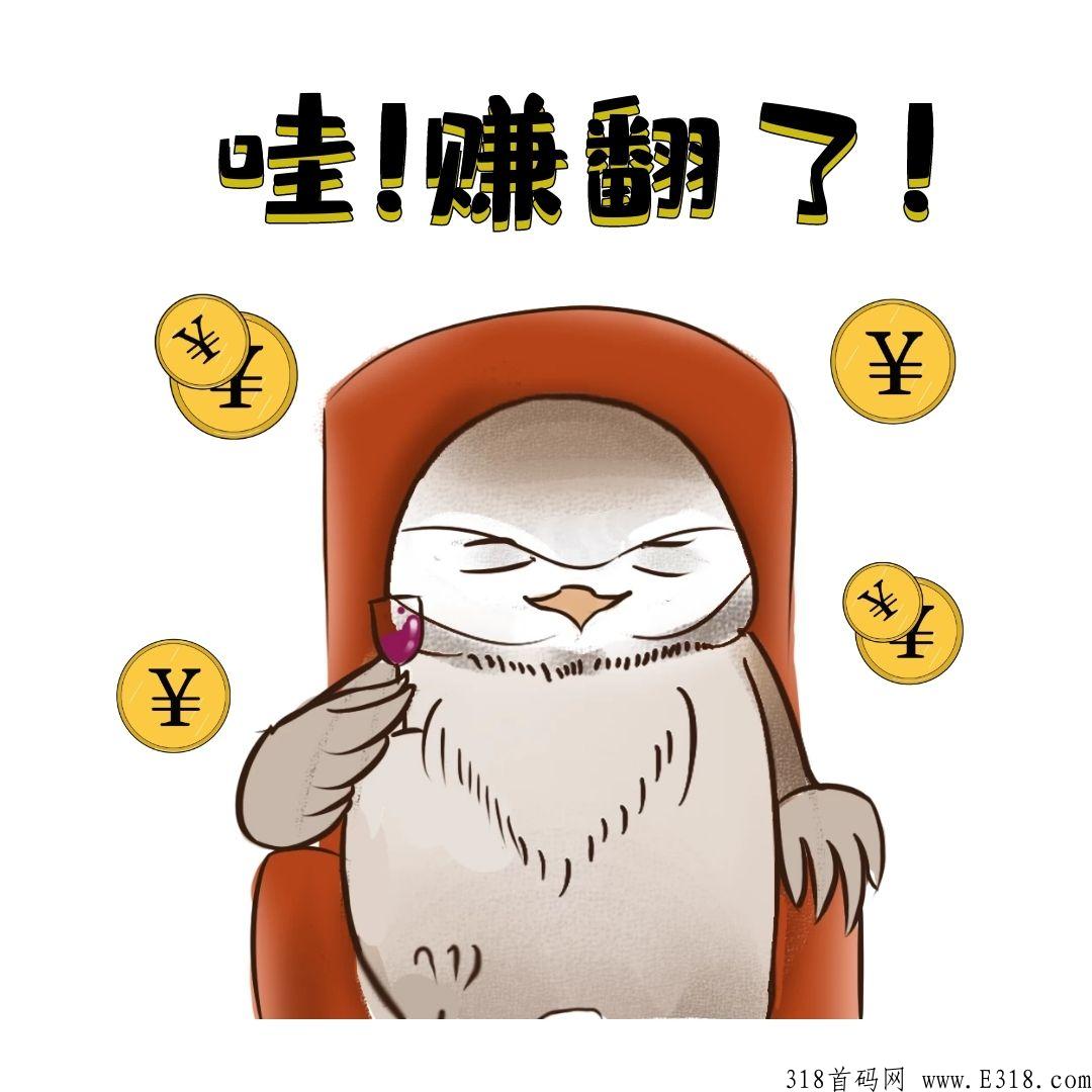 2022年稳赚项目，注册好扫码加好友一对一指导，对接团队