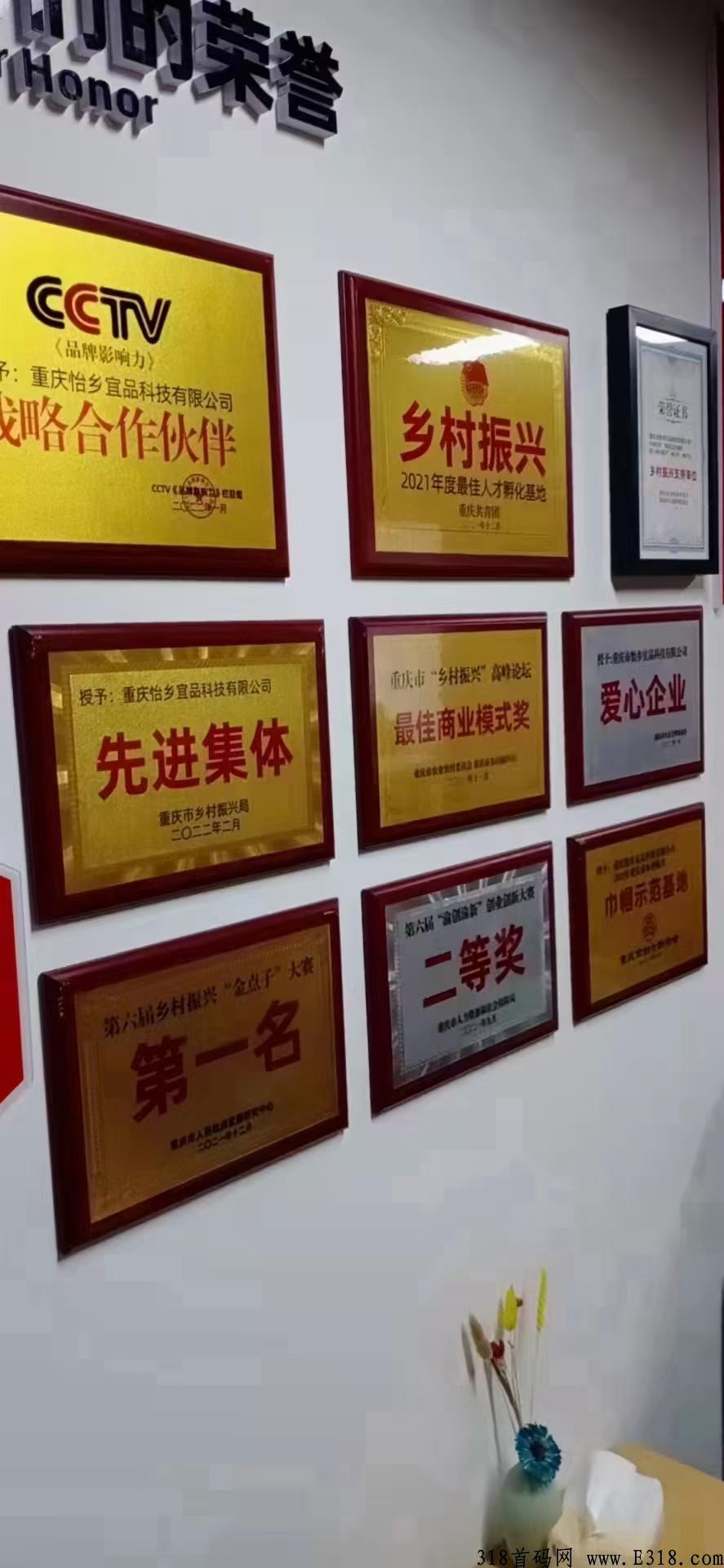 [每日乡村]:央视合作，既将上线，明星助阵，2022最火爆的项目，欢迎大佬团队长一起加入。