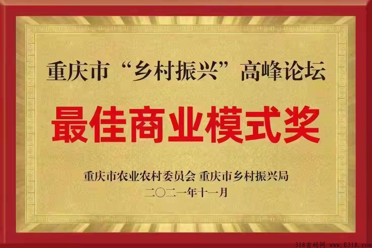 每日乡村，内测锁粉中，首码上车吃肉