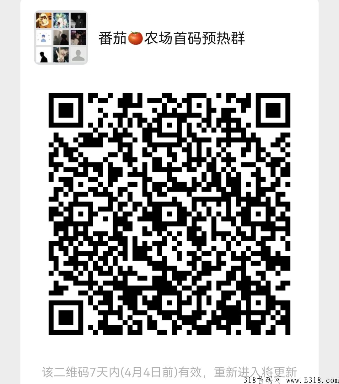 番茄农场首码预热，非市面上空壳公司，快上车吃肉
