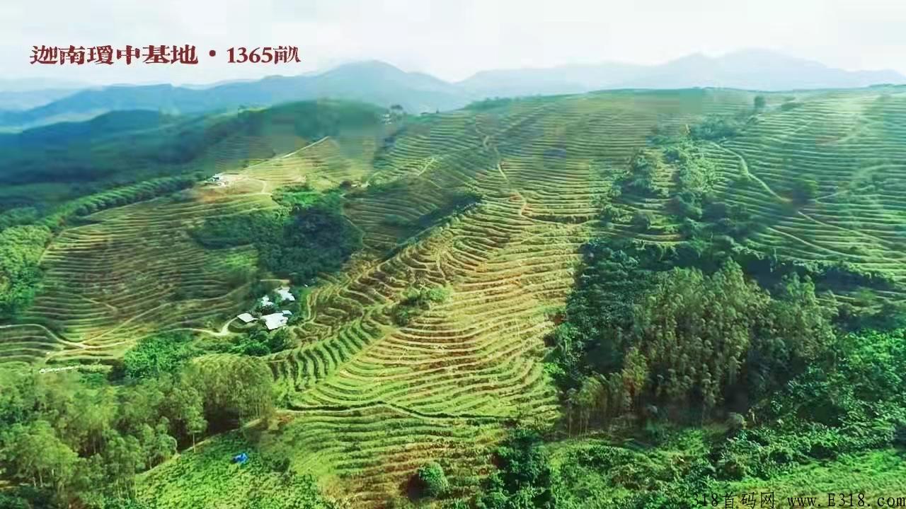碳氧家园重磅来袭，O2World沉香，全国招募，线上线下联动植树造福！