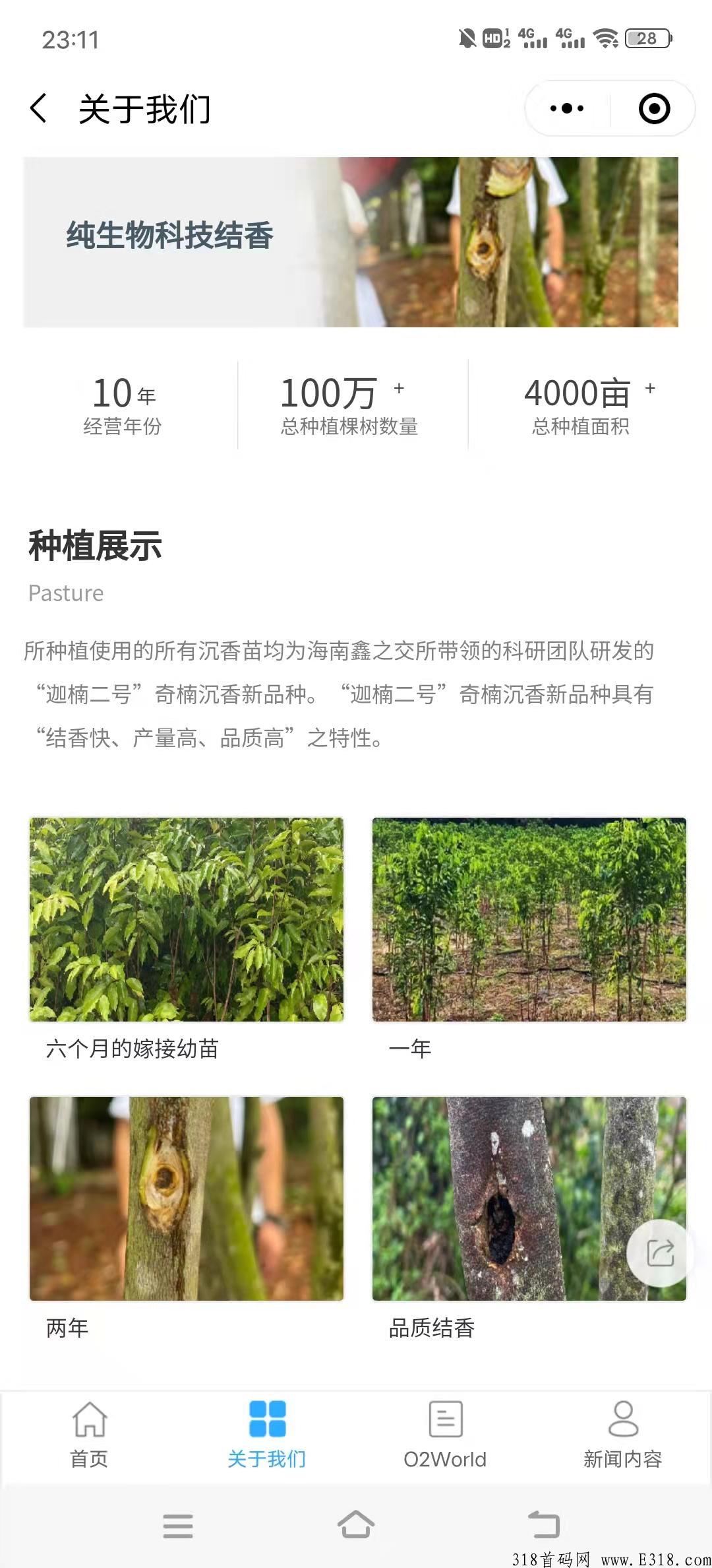 碳氧家园重磅来袭，O2World沉香，全国招募，线上线下联动植树造福！