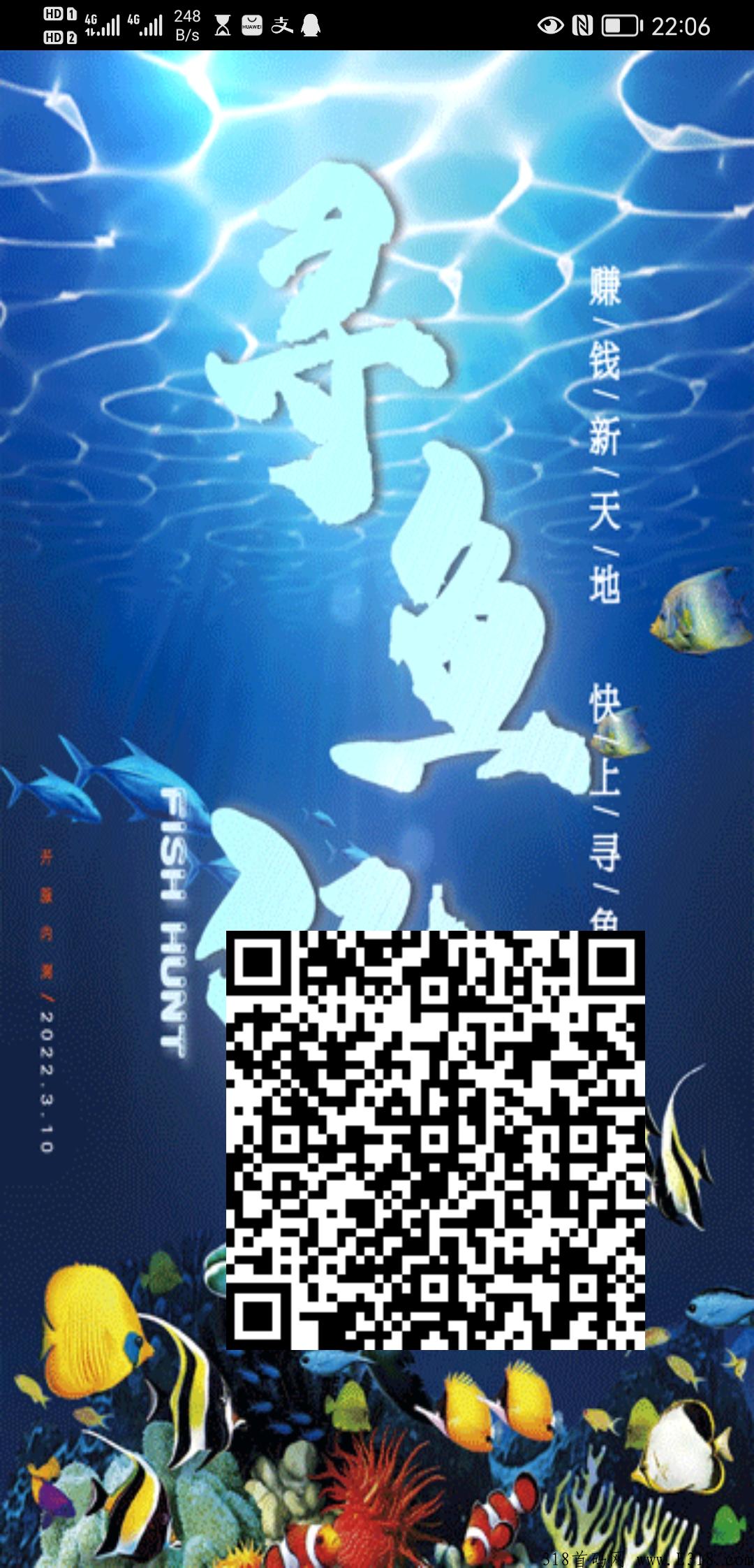 寻鱼记