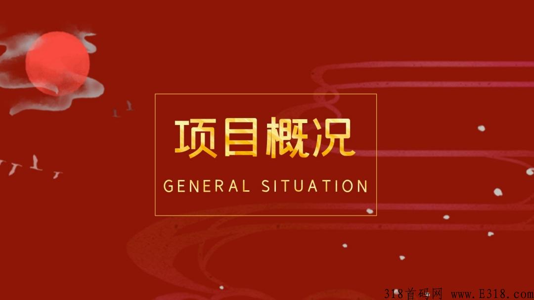 千禧优品，2022年黑马项目！火爆开启！