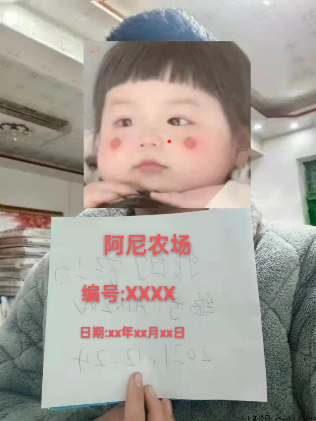 农场游戏赚钱正规平台，不用看广告，不用签到，点对点交易，打发时间小游戏
