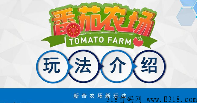 2022番茄农场首码总对接+市场部内排+无限代扶持
