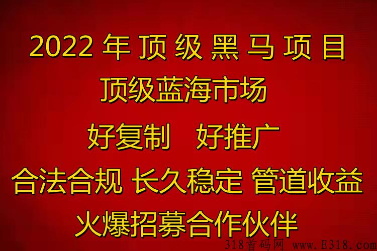 青提wifi广告推广顶级蓝海大项目，目前参与大干的人已经拿到结果，速度跟上对接