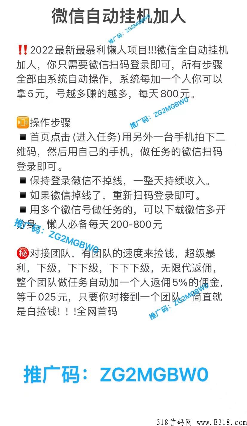 自撸稳定项目，大力扶持推广团队长