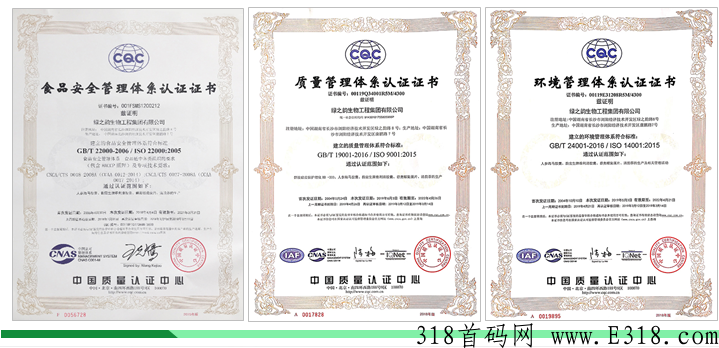 绿韵好联国际