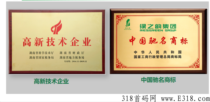 绿韵好联国际