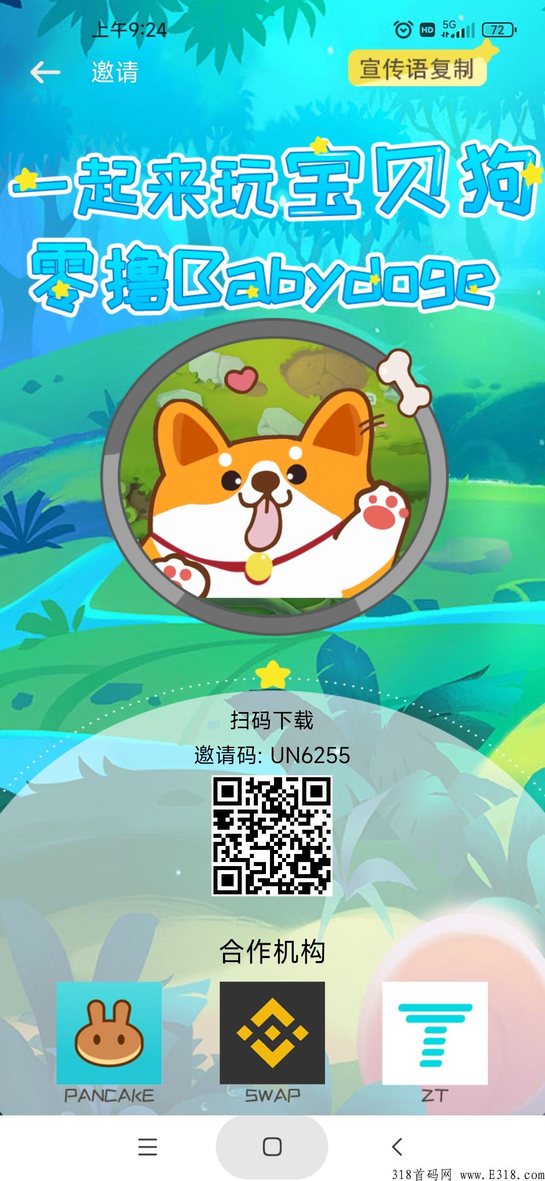 新出首码宝贝狗，上车咯