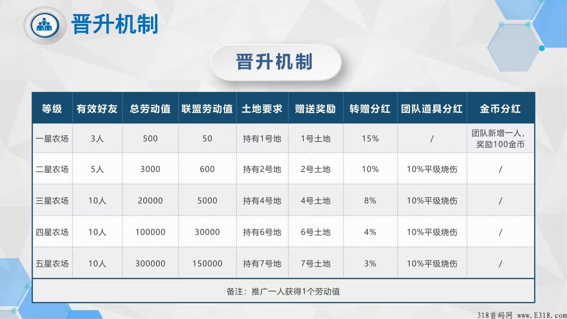 番茄农场首码市场部总排线+扶持，创新玩法收益多多