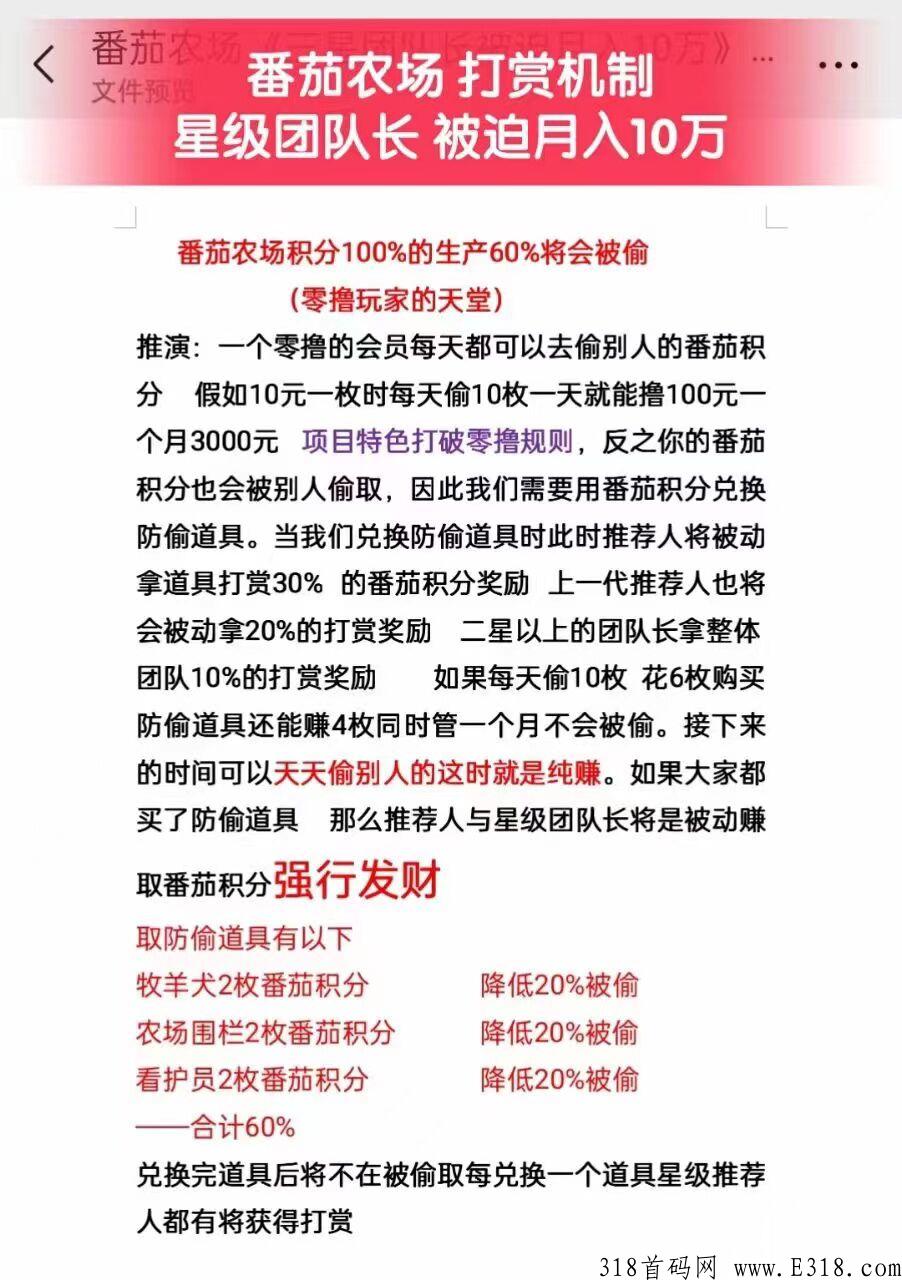 番茄农场首码市场部总排线+扶持，创新玩法收益多多