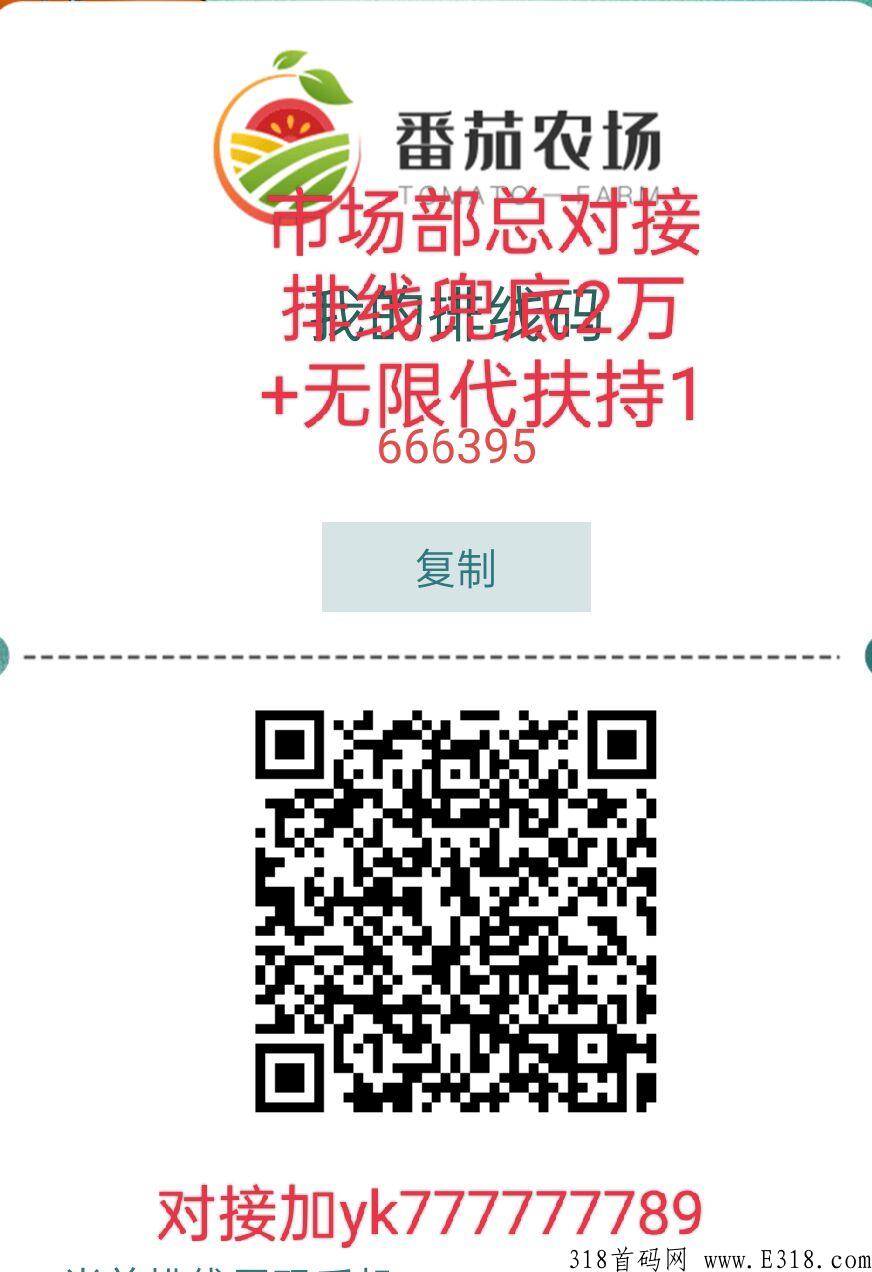 番茄农场首码市场部总排线+扶持，创新玩法收益多多