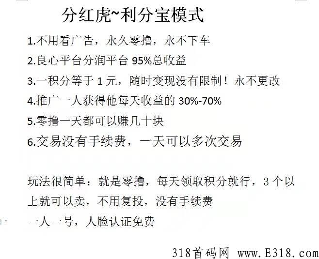 分红虎利分宝模式0撸，对接第一批团队长
