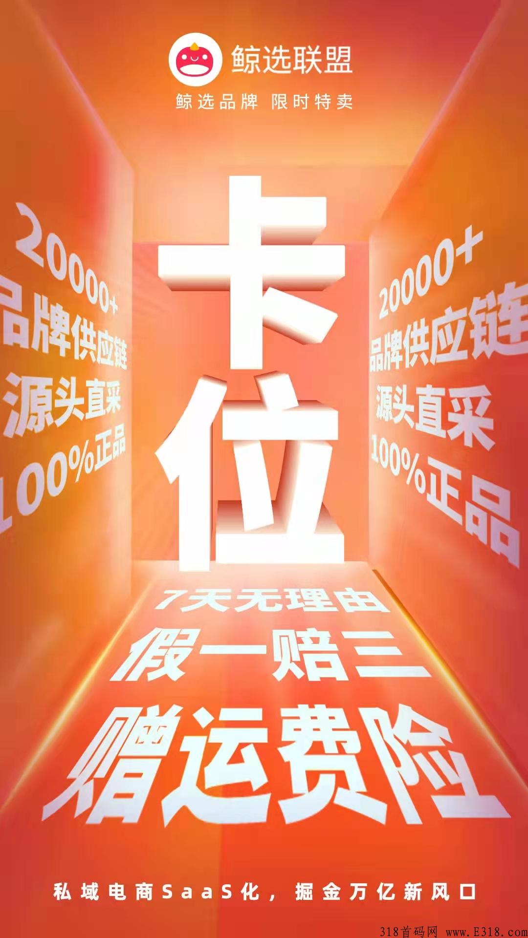 鲸选联盟店主内测首码