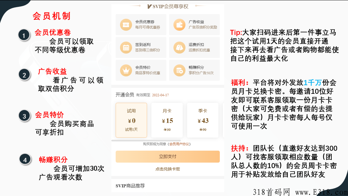 yoyo部落