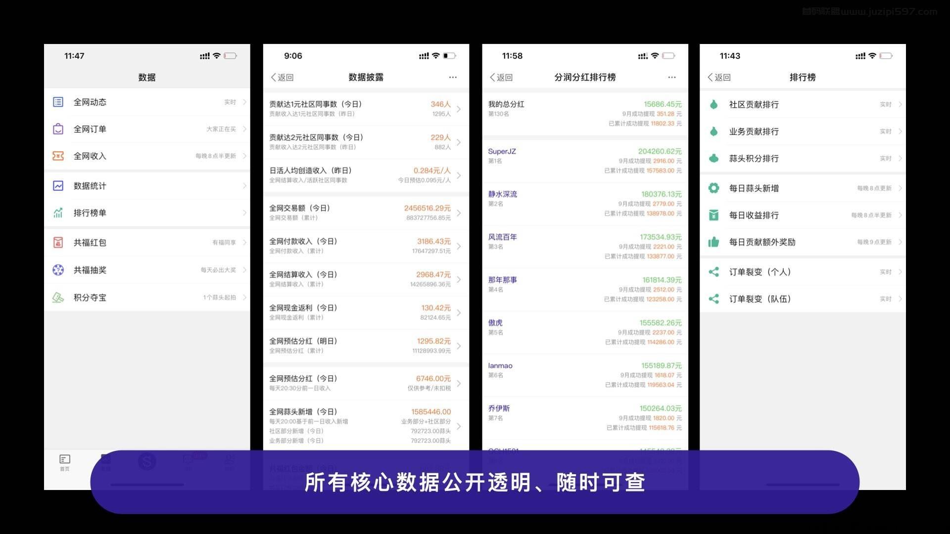 超级蒜粒app，零撸企业项目