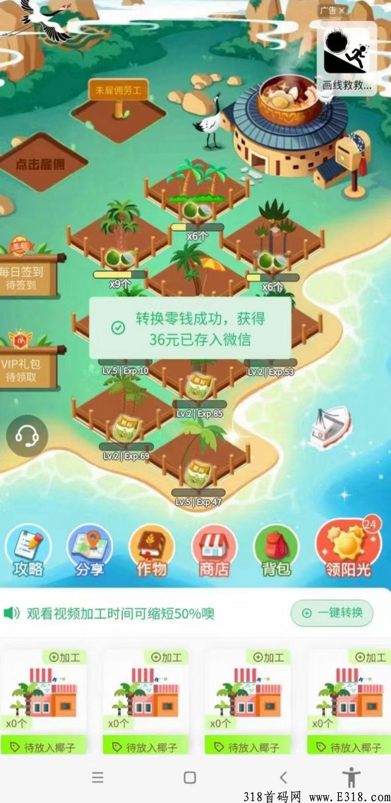 火神椰子，小程序首码，速度锁粉！