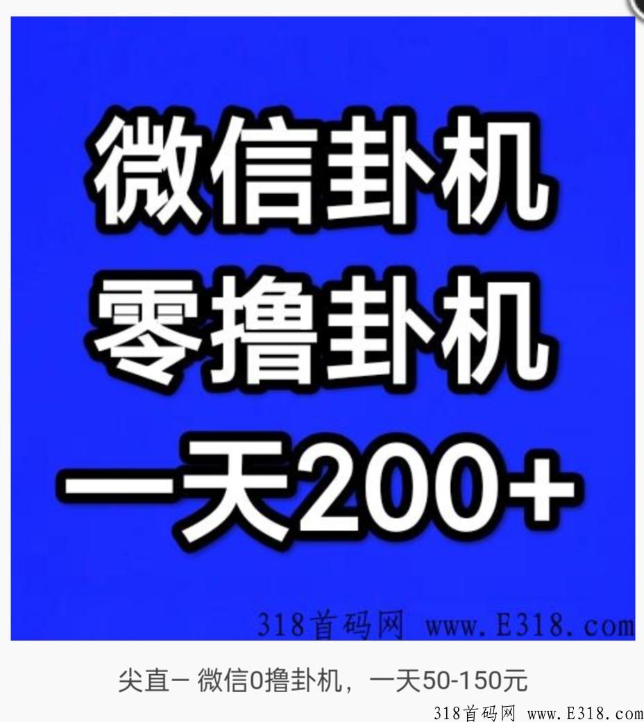首码项目零撸