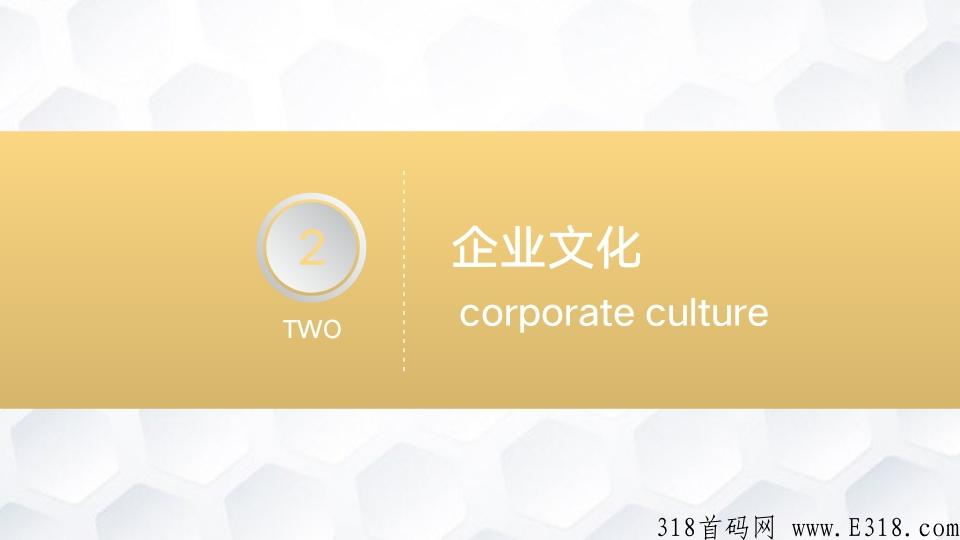 金讯是什么？能赚钱吗？团队长扶持天花板
